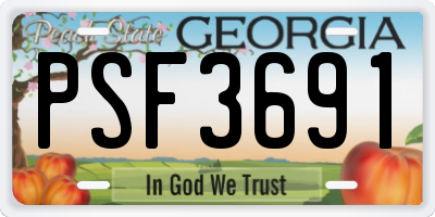 GA license plate PSF3691