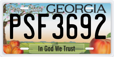 GA license plate PSF3692
