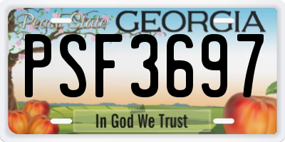 GA license plate PSF3697