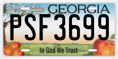 GA license plate PSF3699