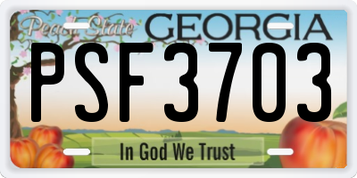 GA license plate PSF3703