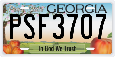 GA license plate PSF3707