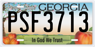 GA license plate PSF3713