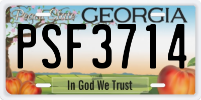 GA license plate PSF3714