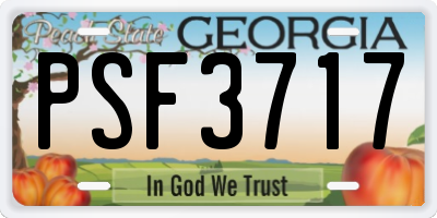 GA license plate PSF3717