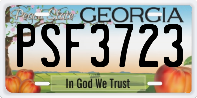 GA license plate PSF3723
