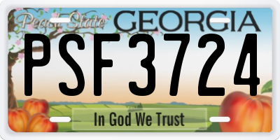 GA license plate PSF3724