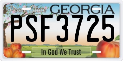 GA license plate PSF3725