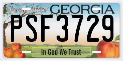 GA license plate PSF3729