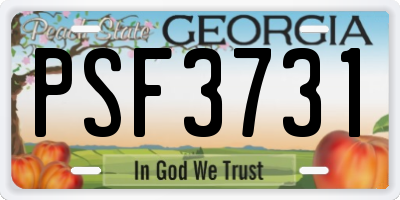GA license plate PSF3731