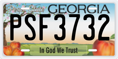 GA license plate PSF3732