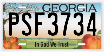 GA license plate PSF3734