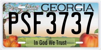 GA license plate PSF3737
