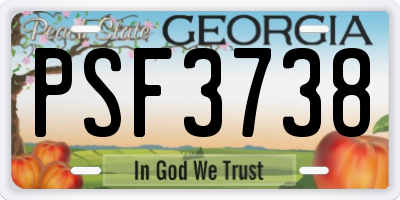 GA license plate PSF3738