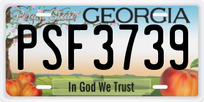 GA license plate PSF3739