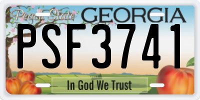 GA license plate PSF3741