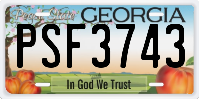 GA license plate PSF3743