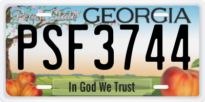 GA license plate PSF3744