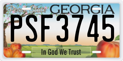 GA license plate PSF3745