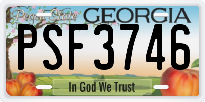 GA license plate PSF3746