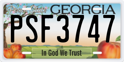 GA license plate PSF3747