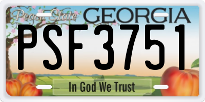 GA license plate PSF3751