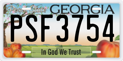 GA license plate PSF3754