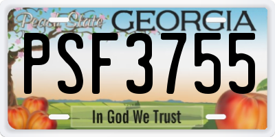 GA license plate PSF3755