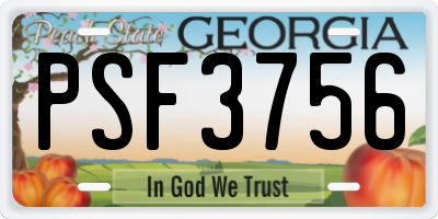 GA license plate PSF3756