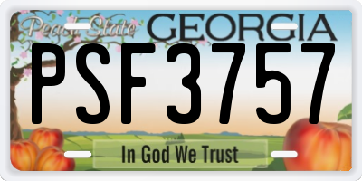 GA license plate PSF3757