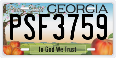 GA license plate PSF3759