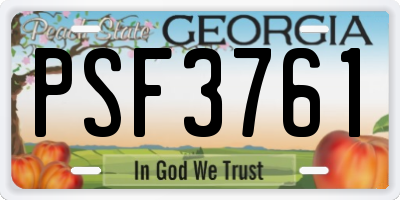GA license plate PSF3761