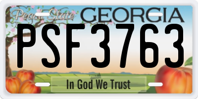 GA license plate PSF3763
