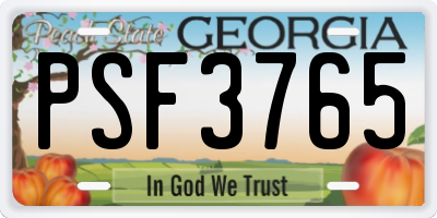 GA license plate PSF3765
