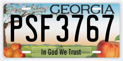 GA license plate PSF3767