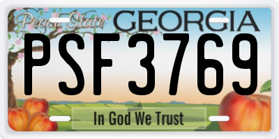 GA license plate PSF3769