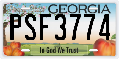 GA license plate PSF3774