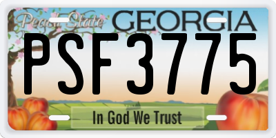 GA license plate PSF3775