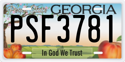 GA license plate PSF3781