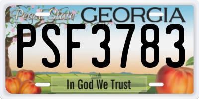 GA license plate PSF3783