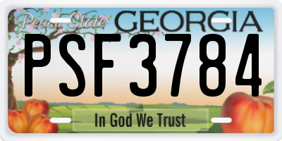 GA license plate PSF3784