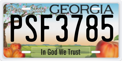 GA license plate PSF3785