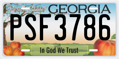 GA license plate PSF3786