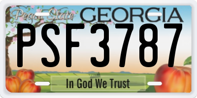 GA license plate PSF3787