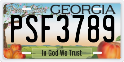 GA license plate PSF3789