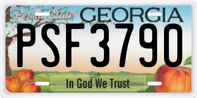 GA license plate PSF3790