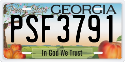 GA license plate PSF3791