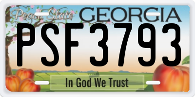 GA license plate PSF3793