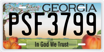 GA license plate PSF3799