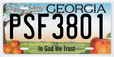 GA license plate PSF3801